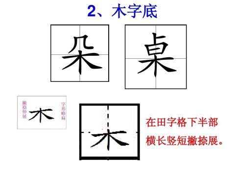 木字部|部首為木的字